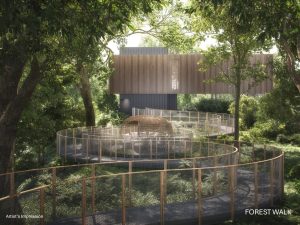 nava-grove-pine-grove-forest-walk