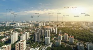 nava-grove-pine-grove-aerial-view