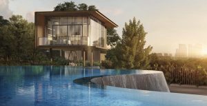 nava-grove-pine-grove-pool