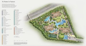 nava-grove-pine-grove-site-plan